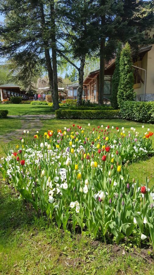 Family Hotel Residence Добрич Экстерьер фото